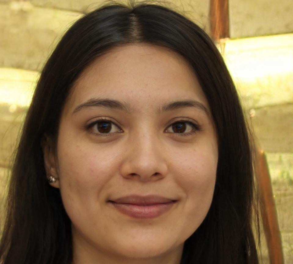 Portrait of Mei Chen, independent game developer